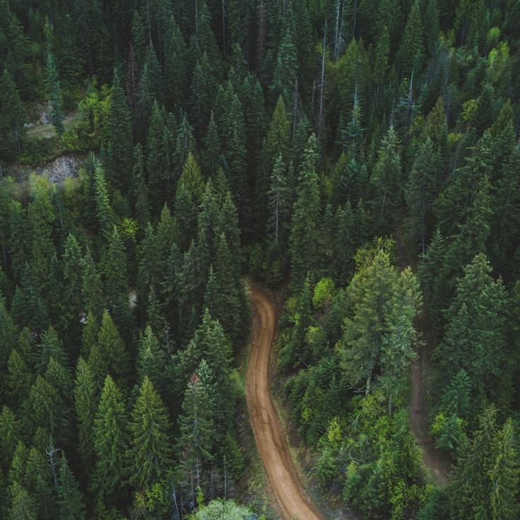 Protected areas overview